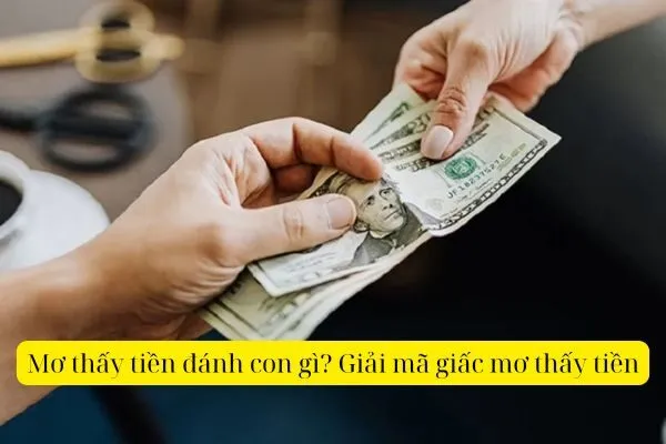 Mơ thấy tiền đánh con gì? Giải mã giấc mơ thấy tiền